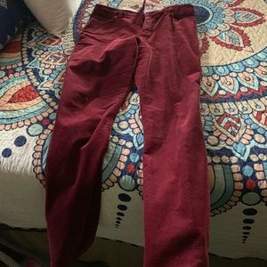 Women’s pants